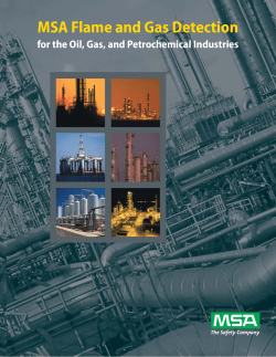 MSA Flame and Gas Detection