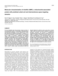 a mitochondria-associated protein with predicted coiled coil and