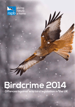 Birdcrime 2014