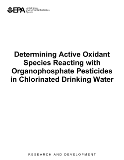 Determining Active Oxidant Species Reacting with