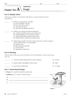 ch 20 tests A,B,C