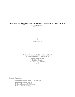 Essays on Legislative Behavior: Evidence from State