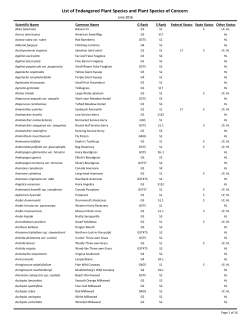 List of Endangered Plant Species and Plant