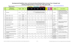 Developmental Disabilities Home and Community Based Medicaid