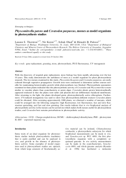 2005 Thornton - Photon Systems Instruments