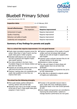 Bluebell Primary School