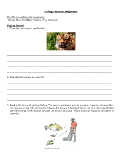 Ecology: Summer Assignment Key Words to define before beginning