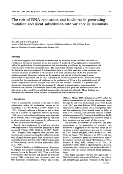 The role of DNA replication and isochores in generating mutation