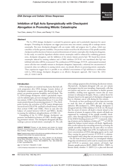 Inhibition of Eg5 Acts Synergistically with Checkpoint Abrogation in