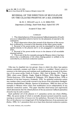 reversal of the direction of mucus-flow on the ciliated pharynx of a