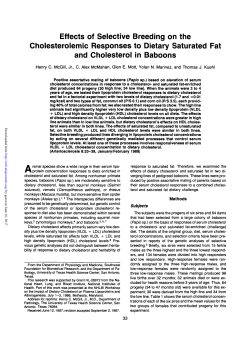 Effects of Selective Breeding on the Cholesterolemic Responses to