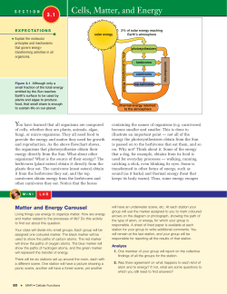 Cells, Matter, and Energy
