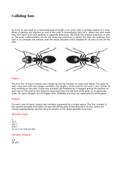 Colliding Ants