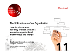 The 3 Structures of an Organization