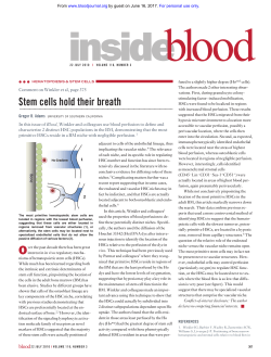 Stem cells hold their breath