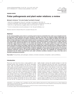 Foliar pathogenesis and plant water relations: a review