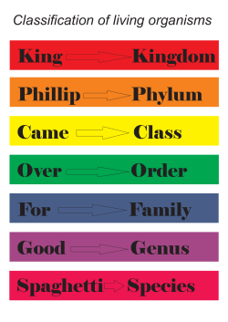 King Kingdom Phillip Phylum Came Class Over Order For Family