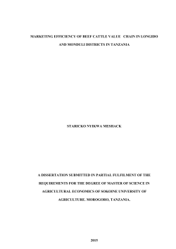 i MARKETING EFFICIENCY OF BEEF CATTLE VALUE CHAIN IN