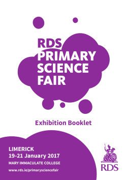 Example of Previous Project Titles - Limerick