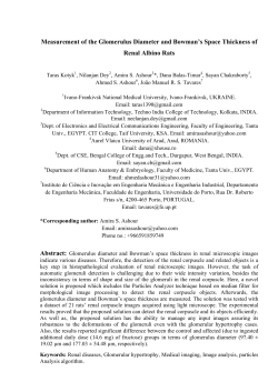 Measurement of the Glomerulus Diameter and Bowman`s Space