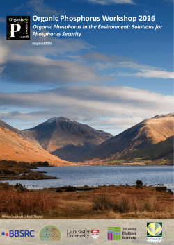 Organic Phosphorus Workshop 2016, Organic