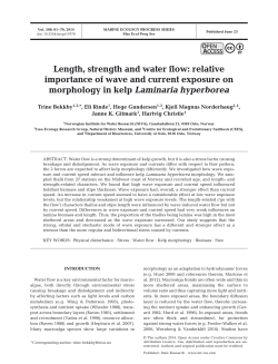 Length, strength and water flow: relative importance of wave and