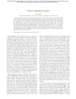 Cell size regulation in bacteria