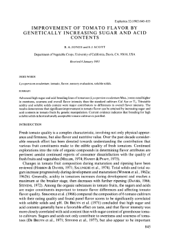 Improvement of tomato flavor by genetically increasing