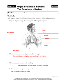 Organ Systems in Humans: The Respiratory