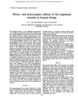 Mono- and polysynaptic reflexes of the trigeminal muscles in