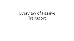 Overview of Passive Transport