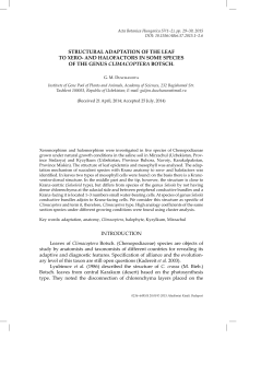 STRUCTURAL ADAPTATION OF THE LEAF TO XERO