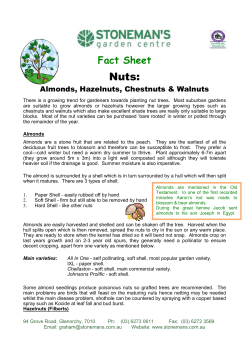 Nuts - Stoneman`s Garden Centre