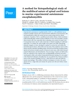 A method for histopathological study of the multifocal nature