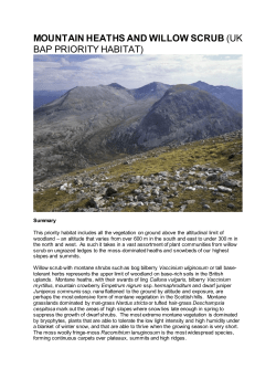 mountain heaths and willow scrub