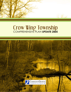 Crow Wing Township