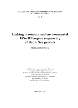 Linking taxonomy and environmental 18S-rRNA-gene