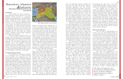 Palestinian Nationalism`s Break with Pan-Arabism