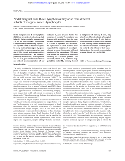Nodal marginal zone B-cell lymphomas may arise