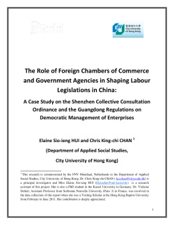 The Role of Foreign Chambers of Commerce and Government