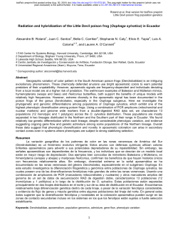 Radiation and hybridization of the Little Devil poison frog