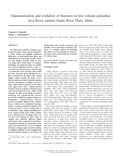 Characterization and evolution of fractures in low