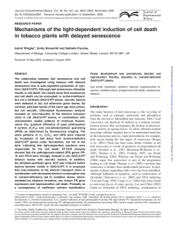 Mechanisms of the light-dependent induction of cell