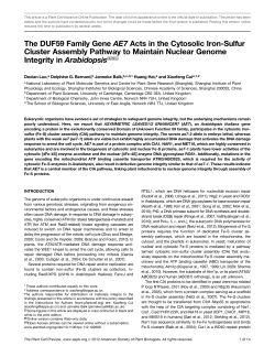 The DUF59 Family Gene AE7 Acts in the Cytosolic