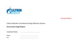 Annual Gas Usage Report