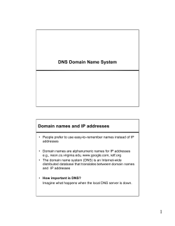 DNS Domain Name System - cs.Virginia