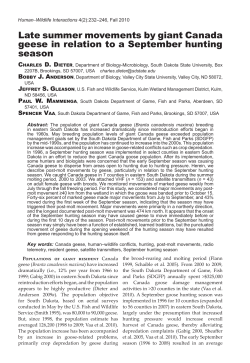 Late summer movements by giant Canada geese in relation to a