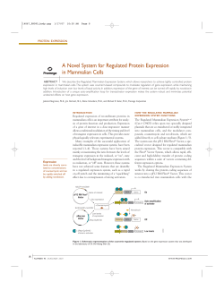 A Novel System for Regulated Protein Expression in