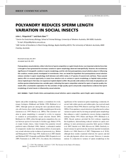 polyandry reduces sperm length variation in social insects