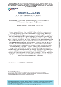 ADAR1 and PACT contribute to efficient translation of transcripts